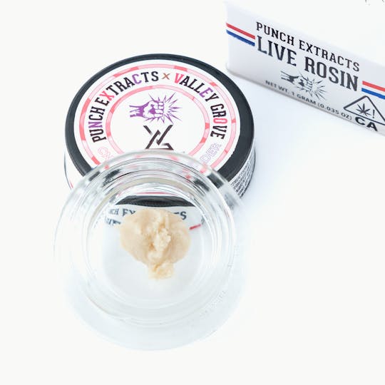 Punch Edibles & Extracts - Cndy Fumez Tier 2 Live Rosin Cold Cure Badder (1g) - 1