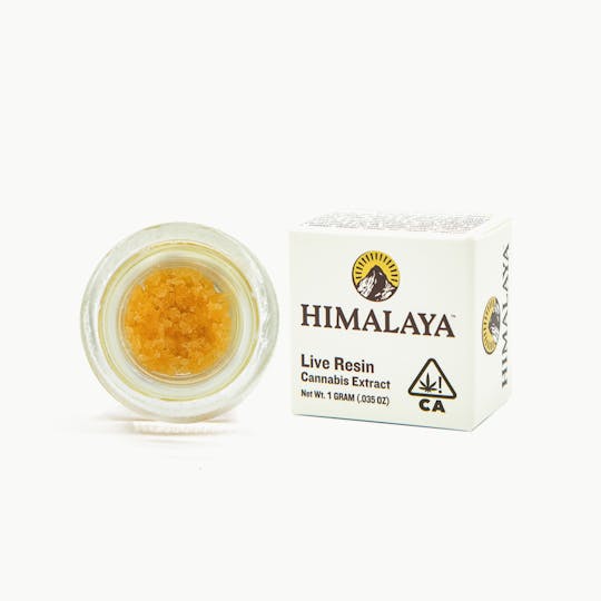 HIMALAYA - White Mango - Terp Sugar - 1G - 1