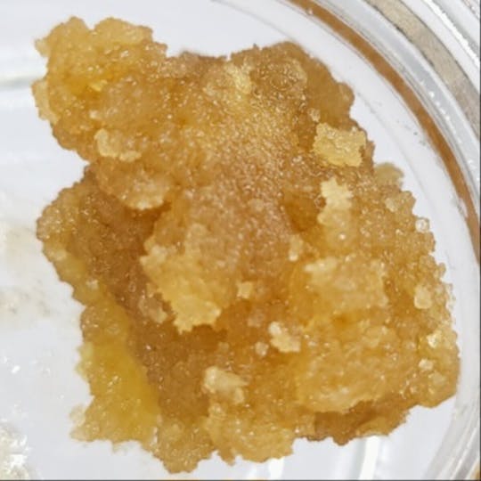 Fireweed Extracts - Mr. Clean Terp Sugar - 1g - 1