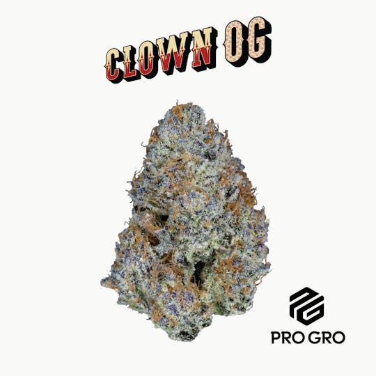 Pro Gro - Clown OG - 1
