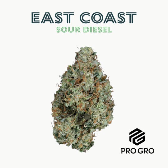 Pro Gro - East Coast Sour Diesel - 1