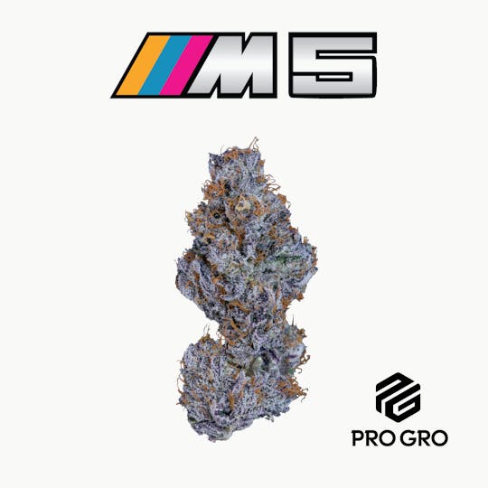 Pro Gro - M5 - 1