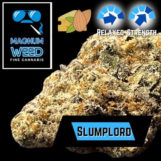 Magnum Weed - Magnum Slumplord - 1