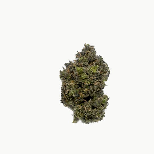 Dynastree - Blue Dream | 40I 60S - 1