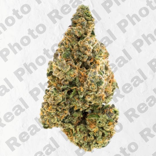 Frostiez - Warheadz - NEW DROP - PREMIUM FLOWER - SATIVA - 1