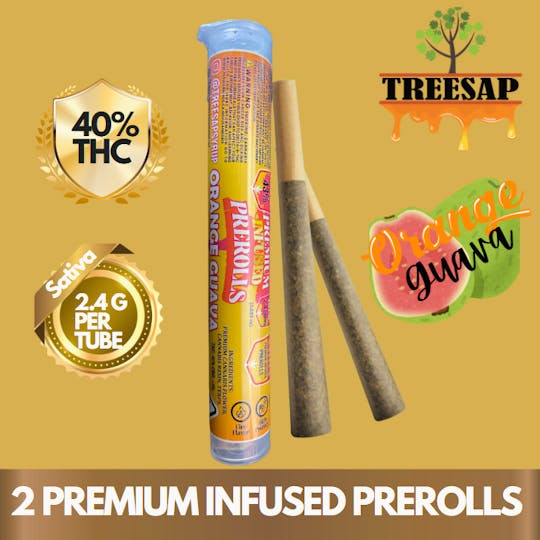 Treesap - CA - Treesap Infused Pre-Roll Orange Guava - 2.4g Per Tube (Sativa) - 1