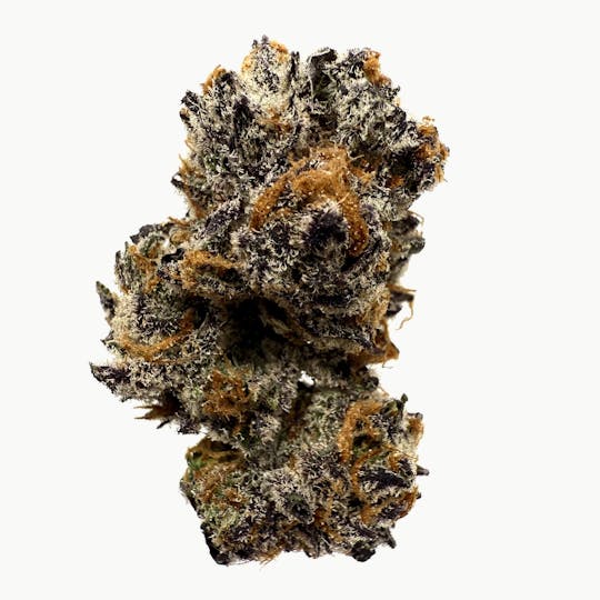 Northeast Alliance - Peanut Butter Cup - 1