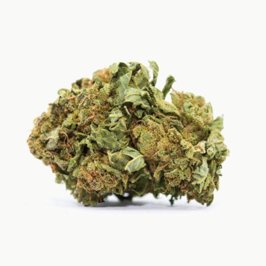 LA Native - Cherry Pop Tartz - Sungrown - 1