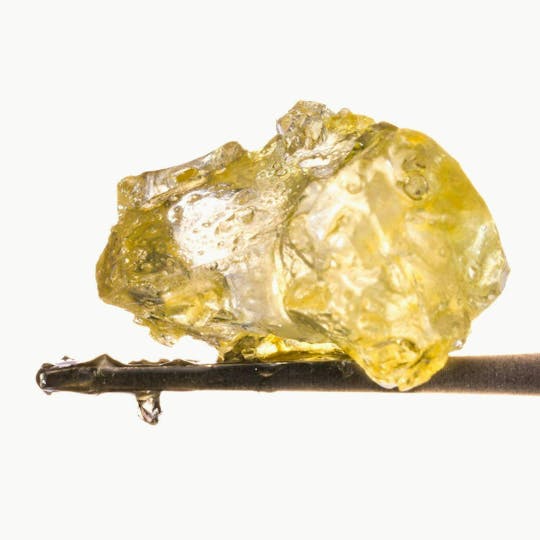 Animal - Jack Herer Live Resin Diamonds - 1
