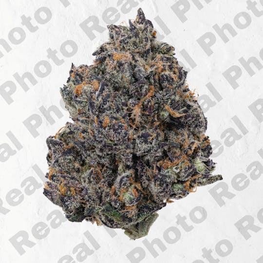Frostiez - Grape Gusherz - Topshelf Indoor - New Drop - Hybrid - 1