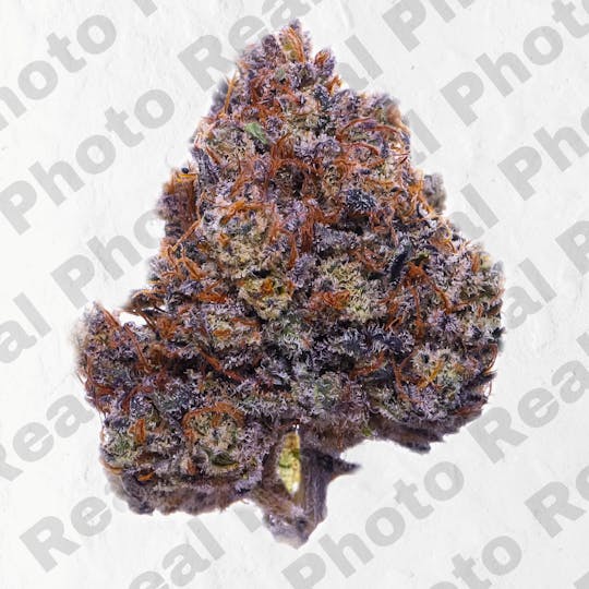Frostiez - Only Fanz - Topshelf Indoor - New Drop - Hybrid - 1