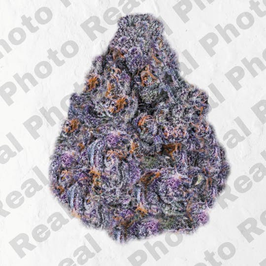 Frostiez - Nitwitz - Topshelf Indoor - New Drop - Indica - 1