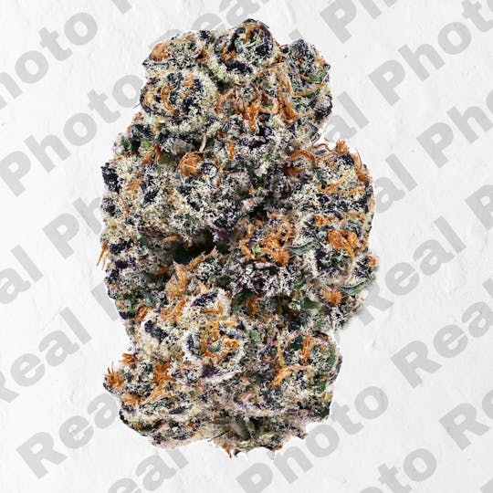 Frostiez - FROSTEEZ - Topshelf Indoor - New Drop - Hybrid - 1