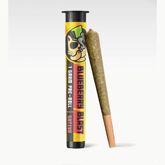 Kush Gardens - El Gato 1g Preroll - Blueberry Blast - 1