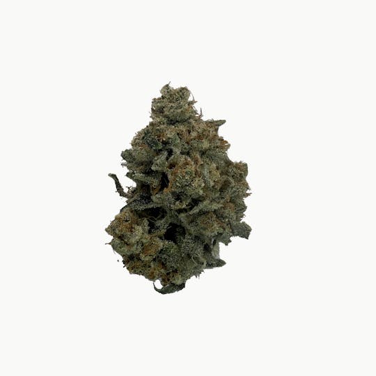 Indico - Grabana - Fuzzy Roots - 1