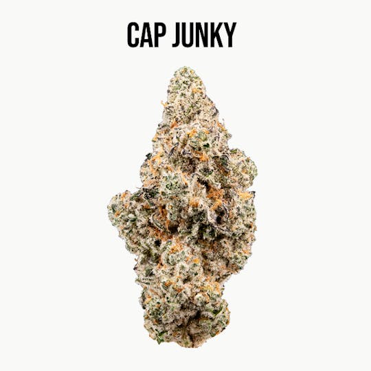 Wildfire - Cap Junky Flower - 1
