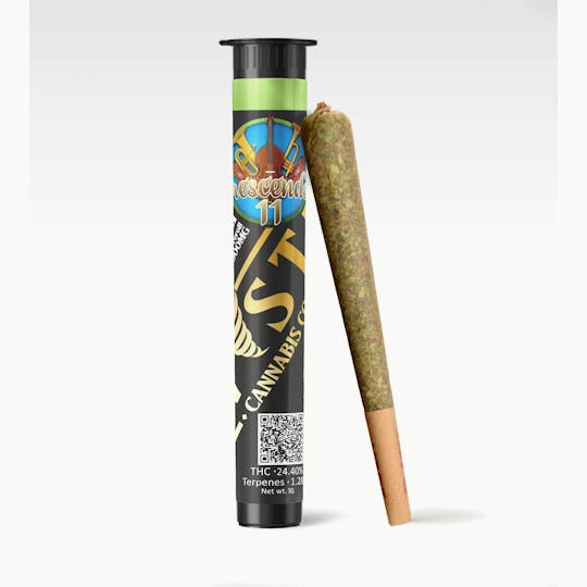 Kush Gardens - Twisted Preroll 1g - Crescendo #11 - 1