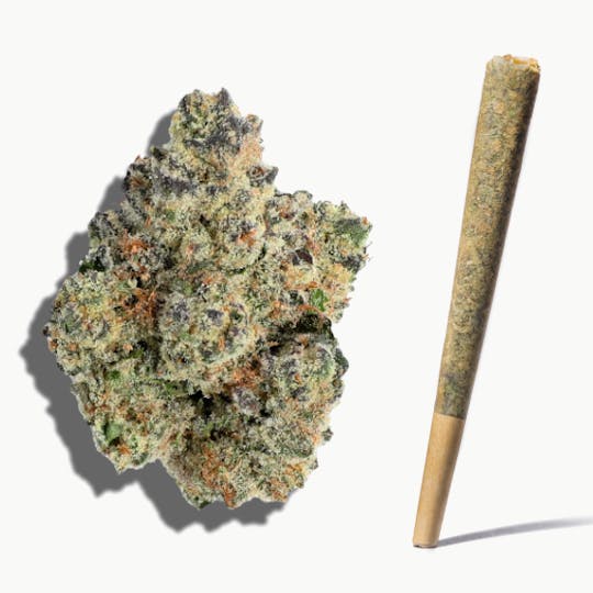 Frostiez - Candy Pop - Top Shelf Indoor - 1 gram Pre-roll - 1