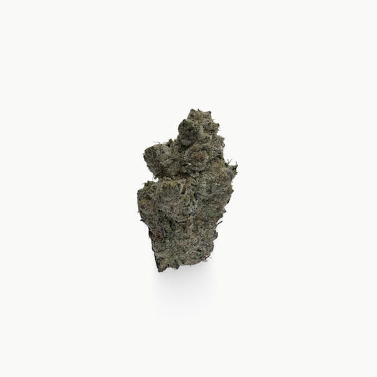 Indico - Maple Root - Unicorn Tears - 1