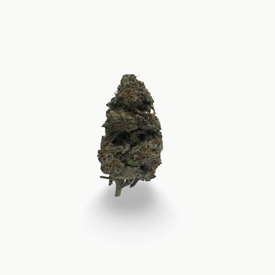 Indico - Cherry Pie Breath - Unicorn Tears - 1