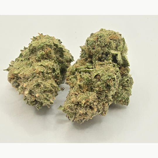 Pharmicated - PhD Indoor Flower - Blueberry French Toast (H) - 1