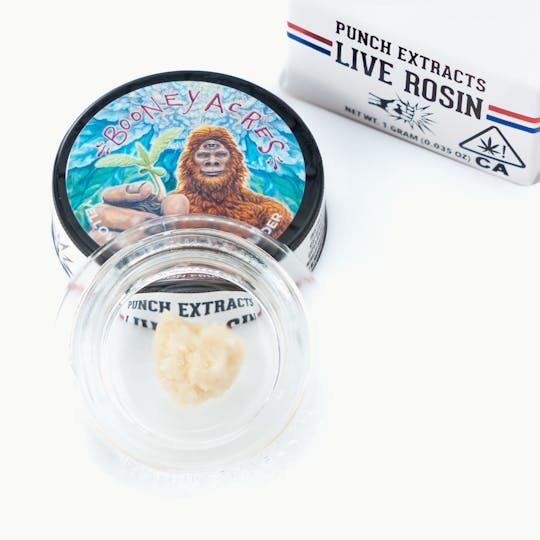 Punch Edibles & Extracts - Yellow Passion Fruit Tier 1 Live Rosin Cold Cure Badder (1g) - 1