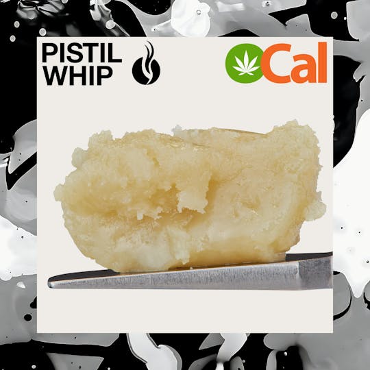 Pistil Whip - Lemon MAC Melon Live Rosin Badder (1g) - 1