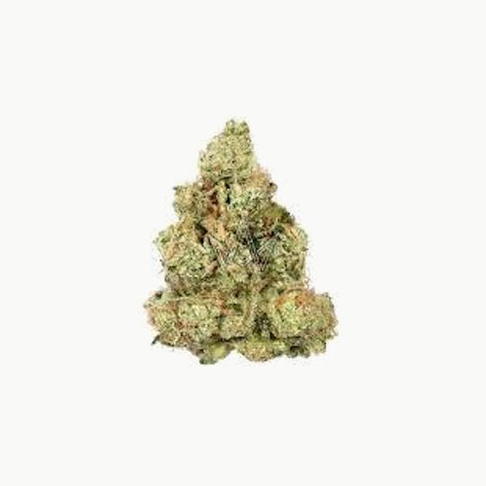 Cannafeen - SKYWALKER OG - 1