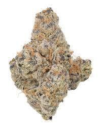 Cannafeen - GLITTER BOMB - 1