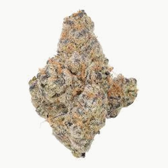 Cannafeen - GLITTER BOMB - 1