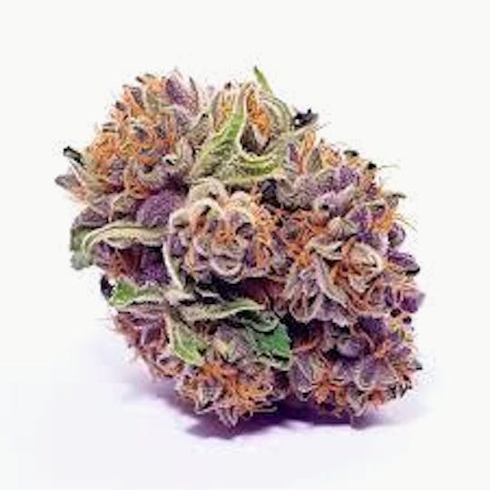 Cannafeen - BLUEBERRY PANCAKES - 1