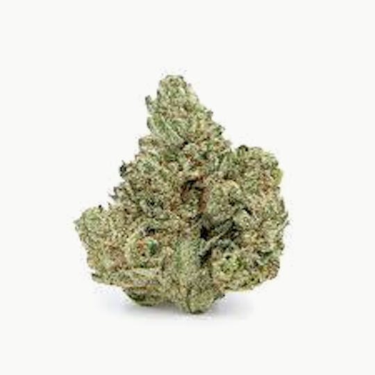 Cannafeen - GG4 - 1