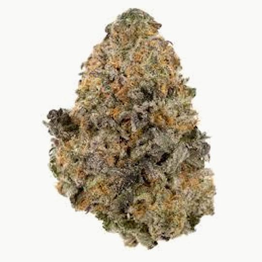 Cannafeen - GELATO - 1