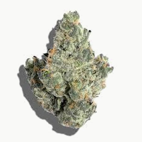 Cannafeen - CANDY OG - 1