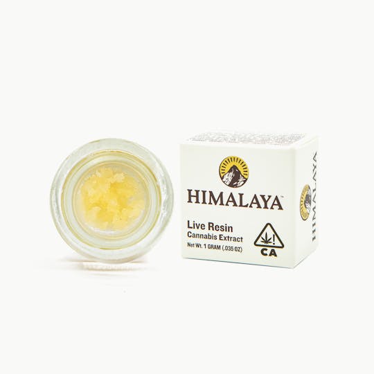 HIMALAYA - White Truffle (Terp Sugar) - 1G - 1