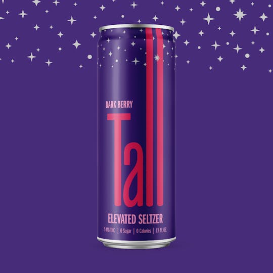 Evermore Cannabis Company - 5MG Dark Berry Tall Seltzer - 1