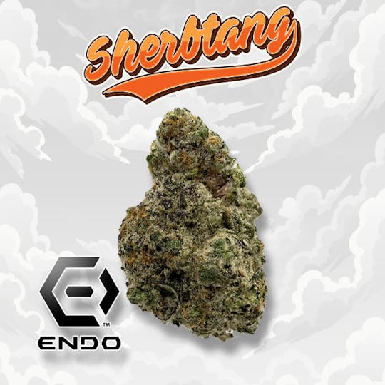 Endo - Endo Shertang 28g - 1