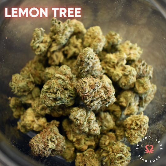 Kind Love Brand - Lemon Tree - 1
