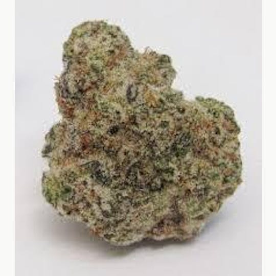 Cannafeen - ALIEN COOKIES - 1