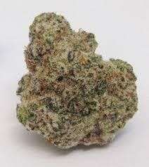 Cannafeen | Alien Cookies | Big Buds
