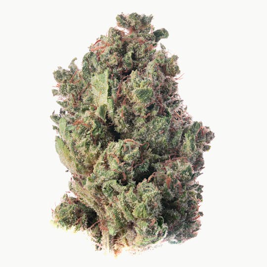 Hype Train - XJ-13 Flower 3.5g - 1