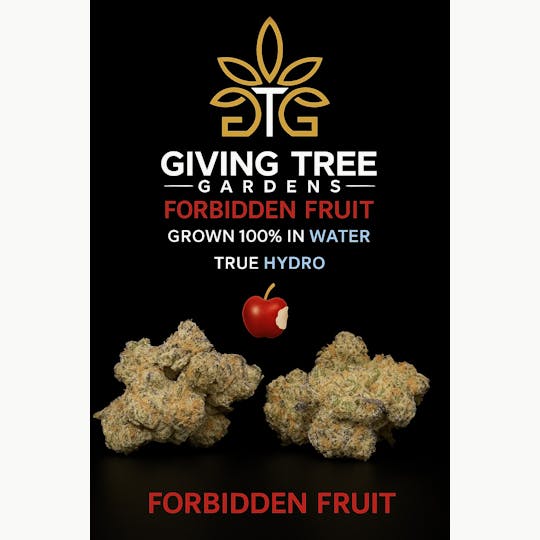 Giving Tree Gardens - Forbidden Fruit Flower - 1