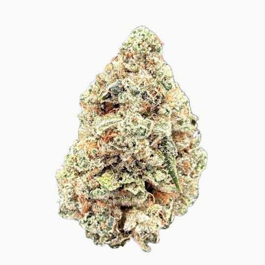 LightSky Farms - Honey Tree Buds - 1