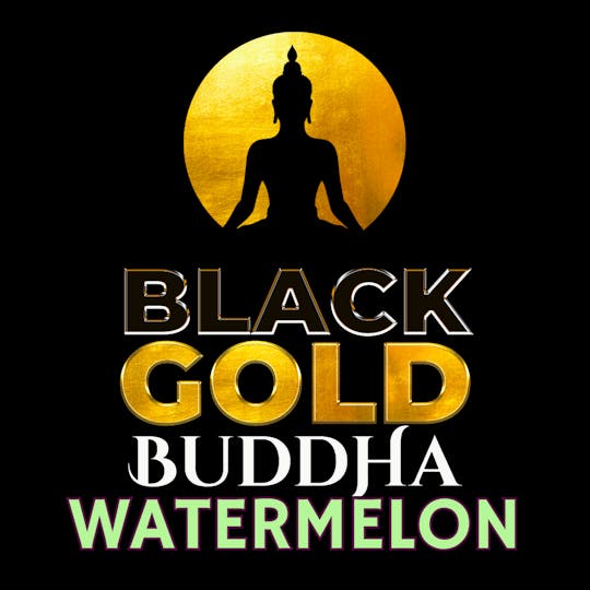 MidSouth Extracts - Gummies - Black Gold Buddha - 100mg/5pk-Watermelon - 1