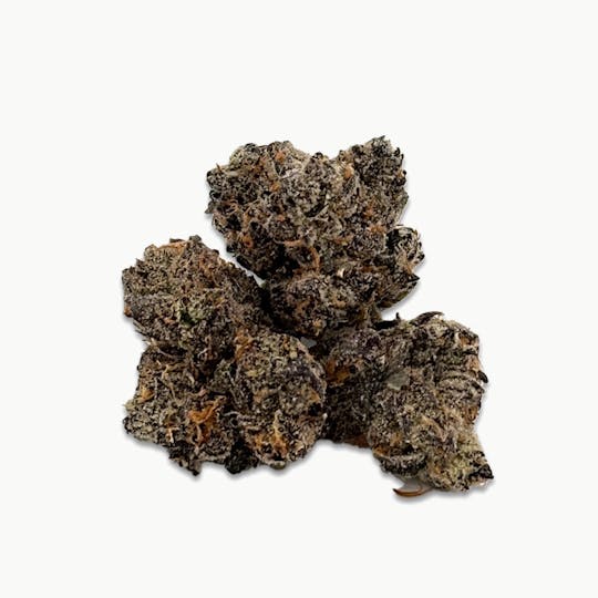 Team Dime Genetics - Bibalishus Indoor Flower 3.5g - 1