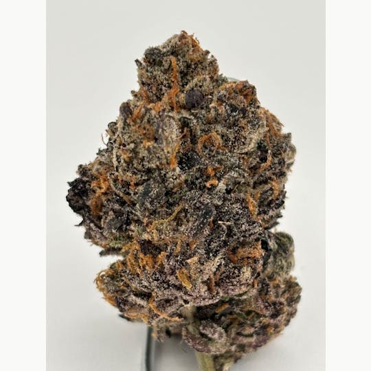 Team Dime Genetics - Strawberry Poptart Indoor Flower 3.5g - 1