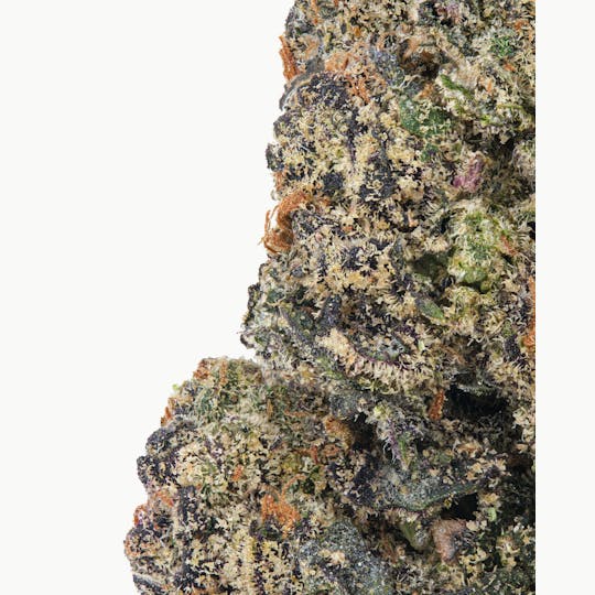 LA Native - Black Cherry Gelato - TOP SHELF INDOOR - 1