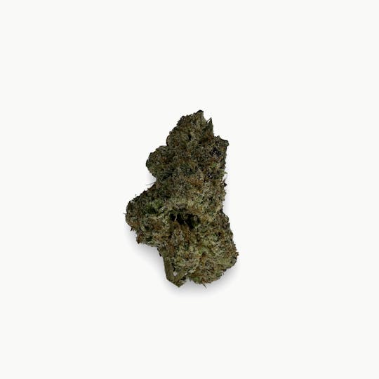 Indico - White Zlushie - Indico - 1