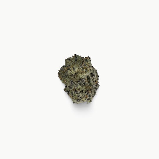 Indico - Black Ice - Indico - 1