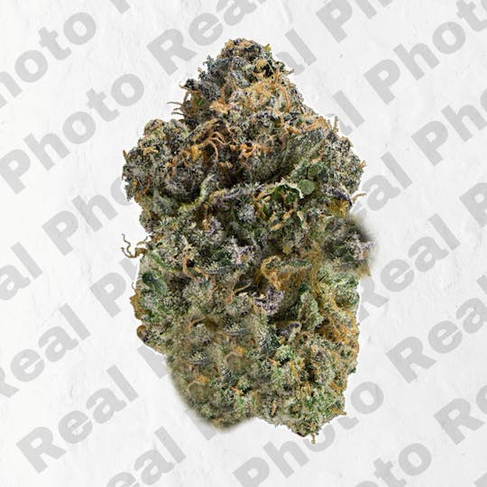 Frostiez - Permanent Marker - Topshelf Indoor - New Drop - Indica - 1